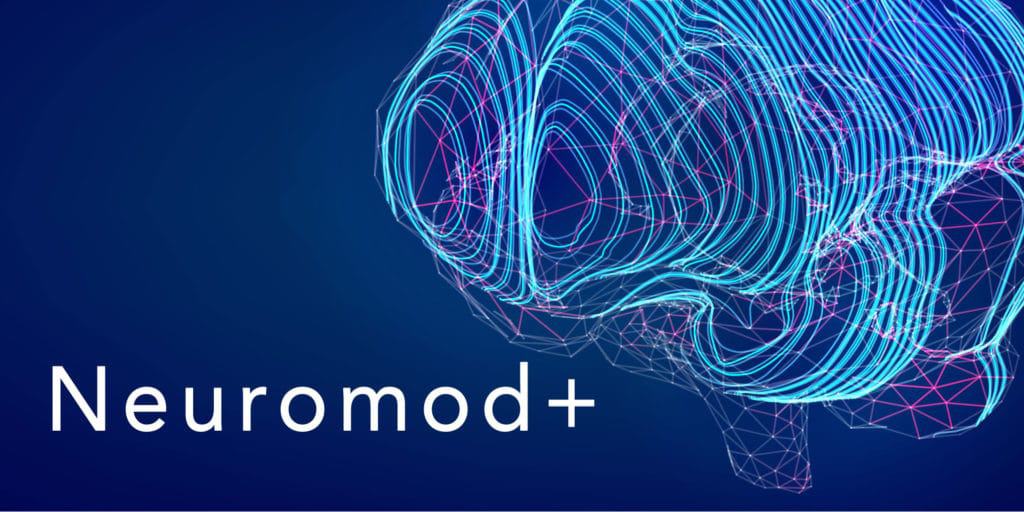 NeuroMod+ research network successfully funded